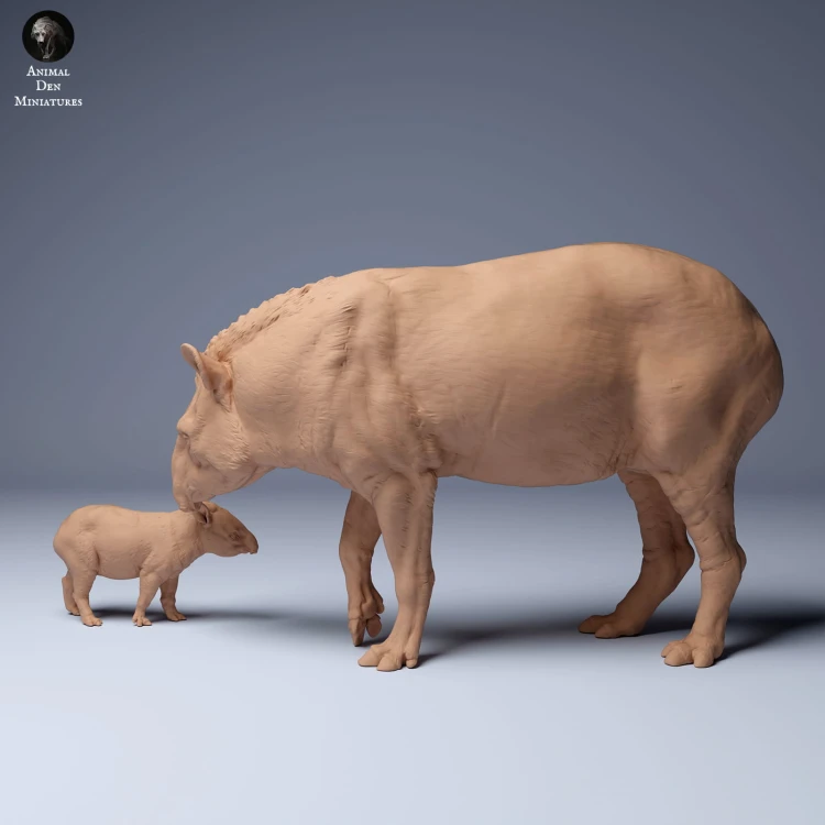 35130255_Brazillian_Tapir_Female_And_Calf_1.jpg