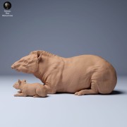 35130256_Brazillian_Tapir_Female_And_Calf_Lying_1.jpg