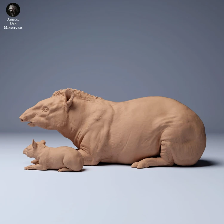 35130256_Brazillian_Tapir_Female_And_Calf_Lying_1.jpg
