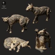 35130109_cat-cleaning-3.jpg