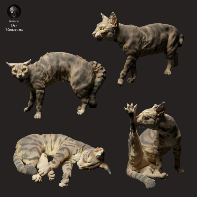 35130109_cat-cleaning-3.jpg