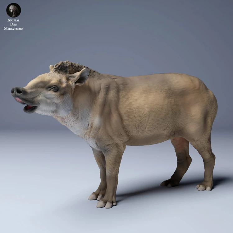 35130253_Brazillian_Tapir_3.jpg
