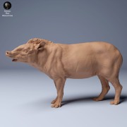 35130253_Brazillian_Tapir_2.jpg