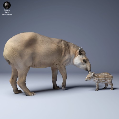 35130255_Brazillian_Tapir_Female_And_Calf_3.jpg