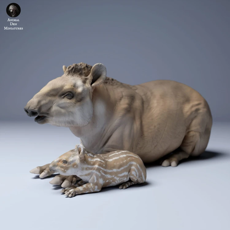 35130256_Brazillian_Tapir_Female_And_Calf_Lying_3.jpg