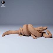 35130358_green_anaconda_vs_caiman_1.jpg