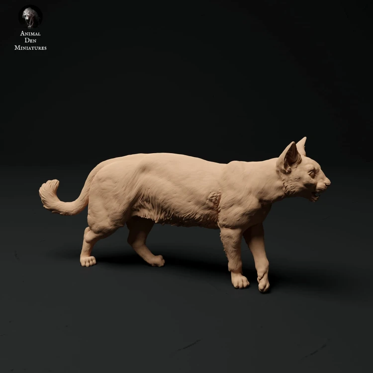 35130110_cat-1.jpg
