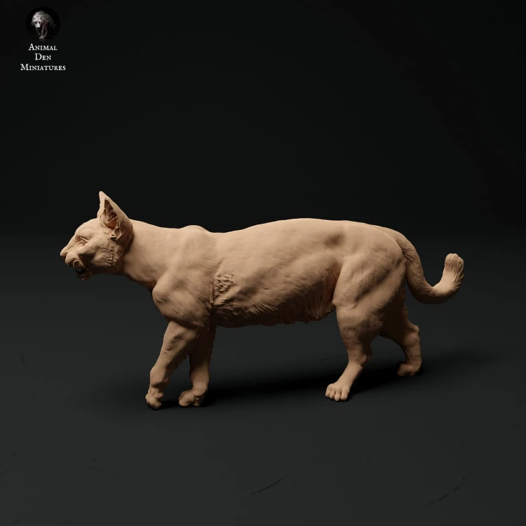 35130110_cat-2.jpg