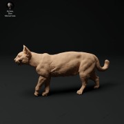 35130110_cat-2.jpg