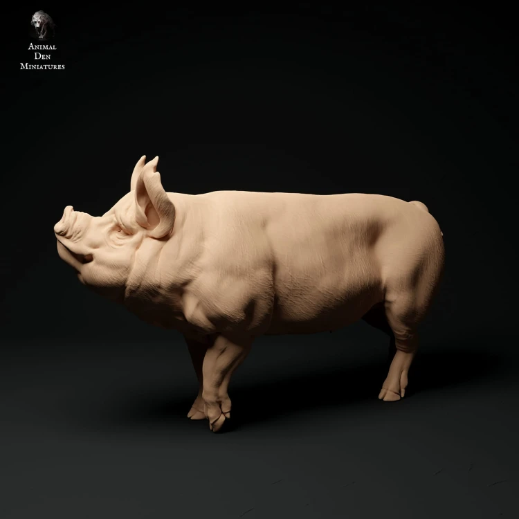 35130310_berkshire-boar-stand-2.jpg