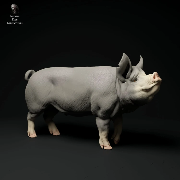 35130310_berkshire-boar-stand-3.jpg