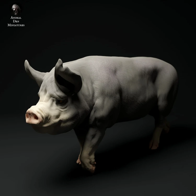 35130311_berkshire-boar-walk_3.jpg