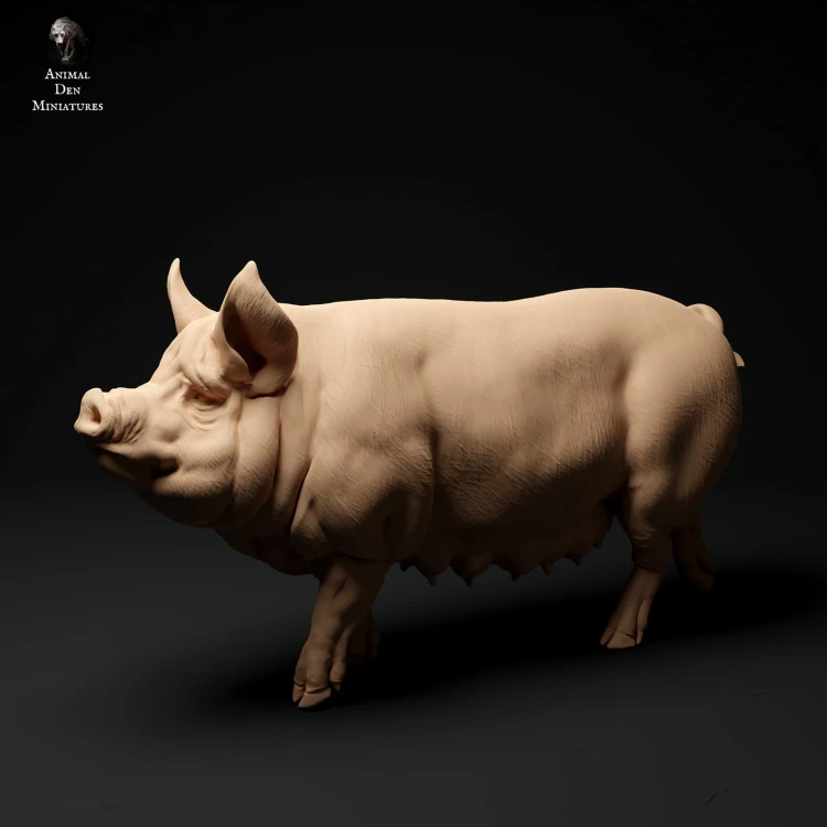 35130312_berkshire-pig-2.jpg