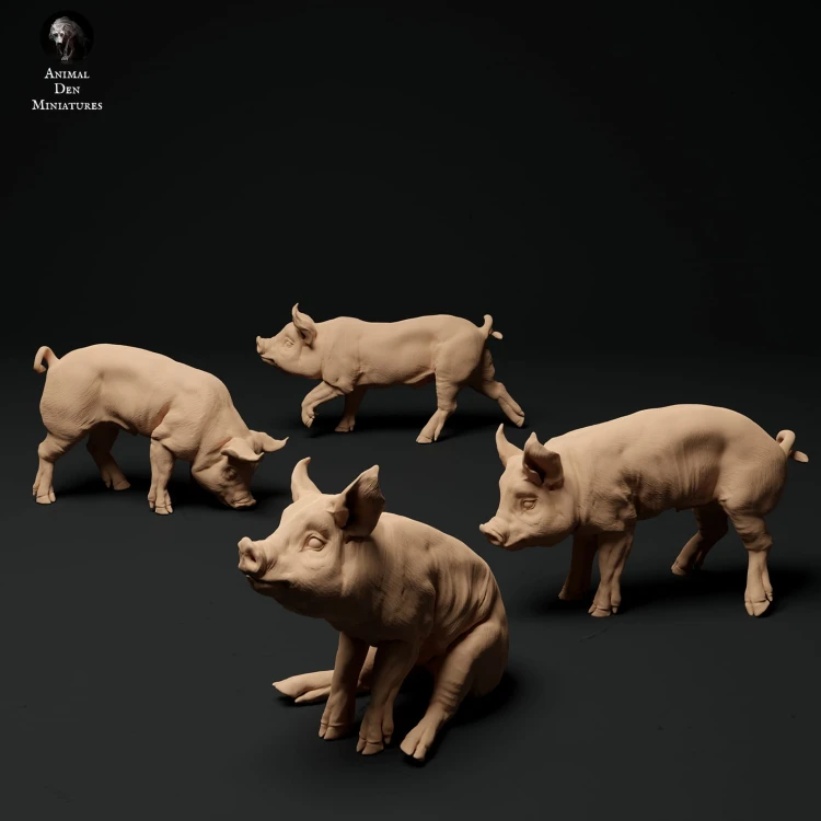 35130315_piglets-2.jpg