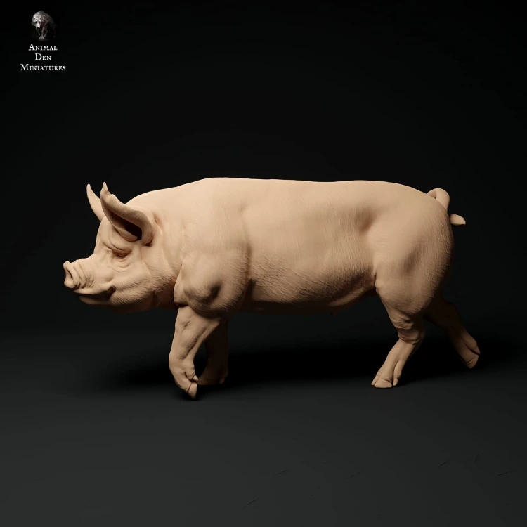 35130311_berkshire-boar-walk_1.jpg