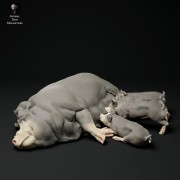 35130314_berkshire-pig-and-piglets-3.jpg