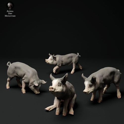 35130315_piglets-3.jpg