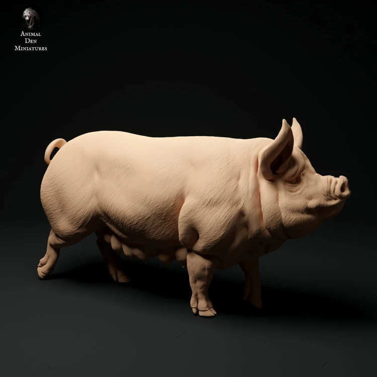 35130312_berkshire-pig-1.jpg