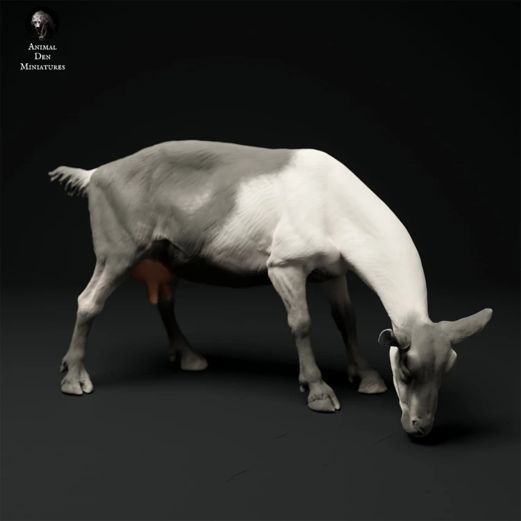 35130316_alpine-goat-grazing-3.jpg
