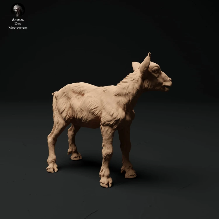 35130324_alpine-goat-kid-stand-2.jpg