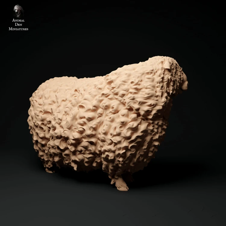 35130328_cornwall-longwool-ram-stand2-1.jpg