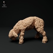 35130326_cornwall-longwool-lamb-grazing-2.jpg