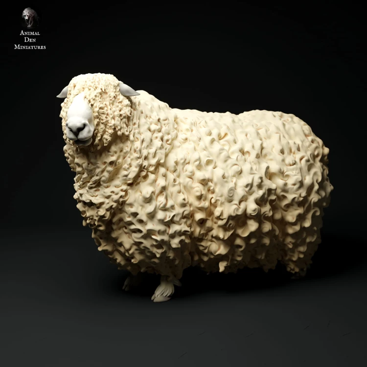 35130328_cornwall-longwool-ram-stand2-3.jpg