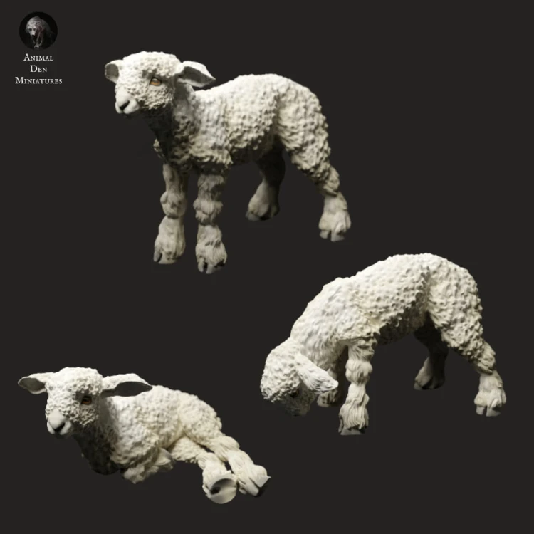 35130326_Lambs_1.jpg