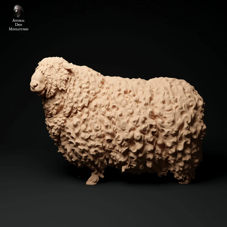 35130328_cornwall-longwool-ram-stand2-2.jpg
