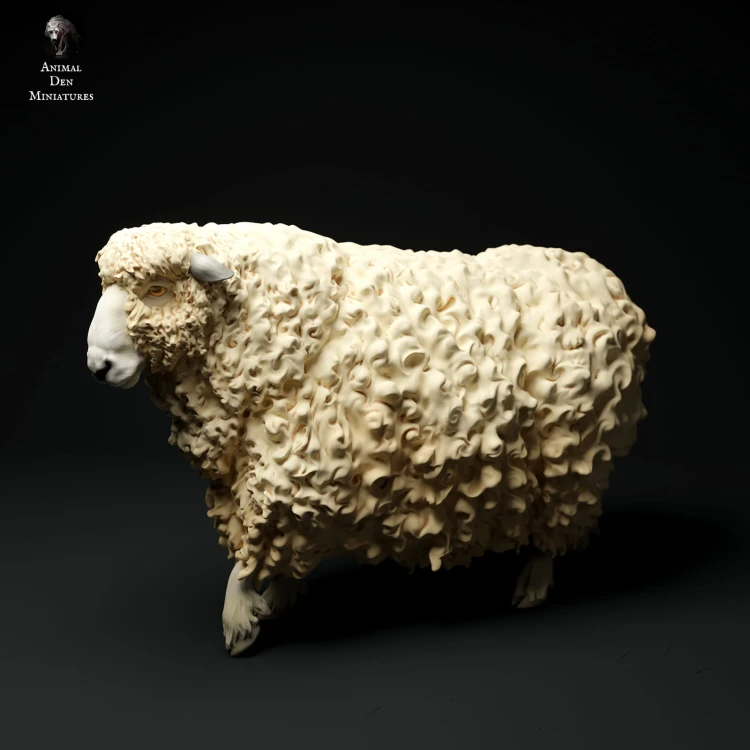 35130332_cornwall-longwool-sheep-walk-3.jpg