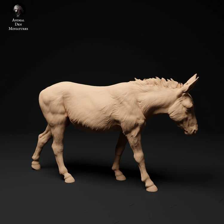 35130334_donkey-2.jpg
