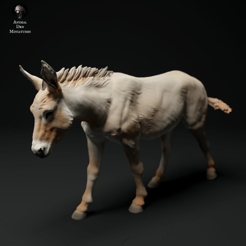 35130334_donkey-3.jpg