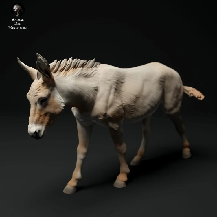 35130334_donkey-3.jpg