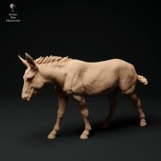 35130334_donkey-1.jpg