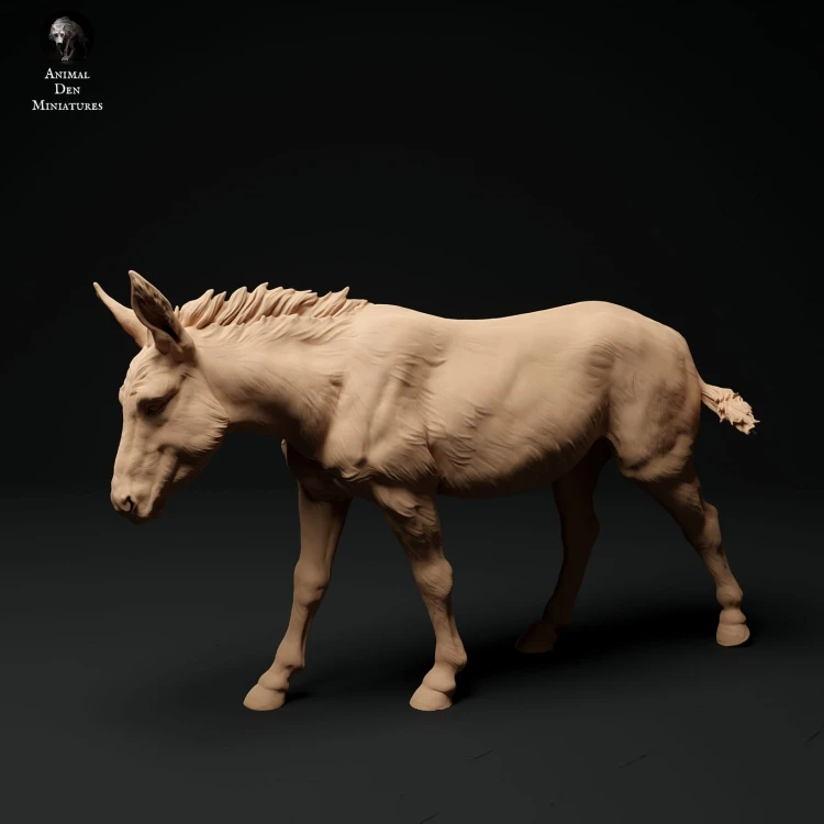 35130334_donkey-1.jpg