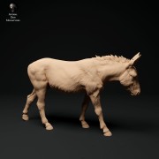 35130334_donkey-2.jpg
