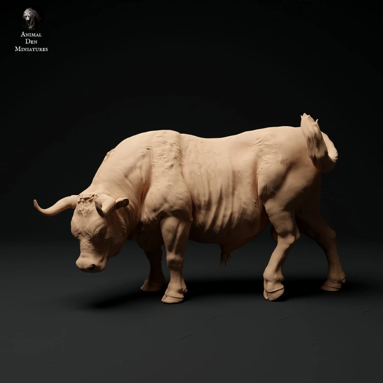 35130336_red-devon-bull-grazing-1.jpg