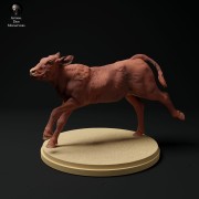 35130338_red-devon-cow-calf-run_3.jpg