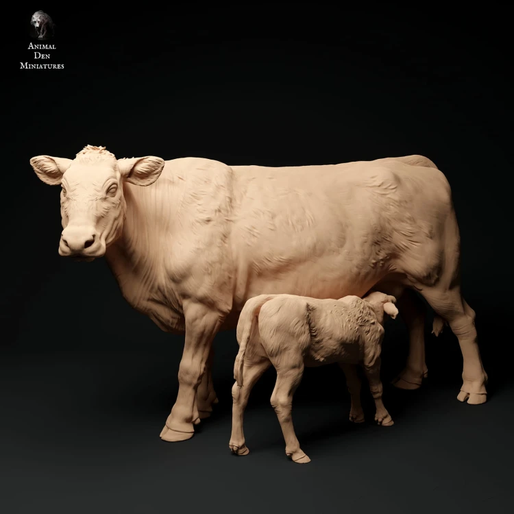 35130339_red-devon-cow-feeding-calf-1.jpg