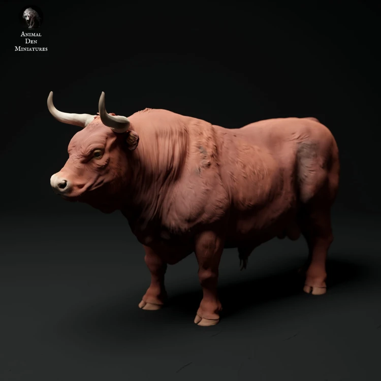 35130337_red-devon-bull-3.jpg