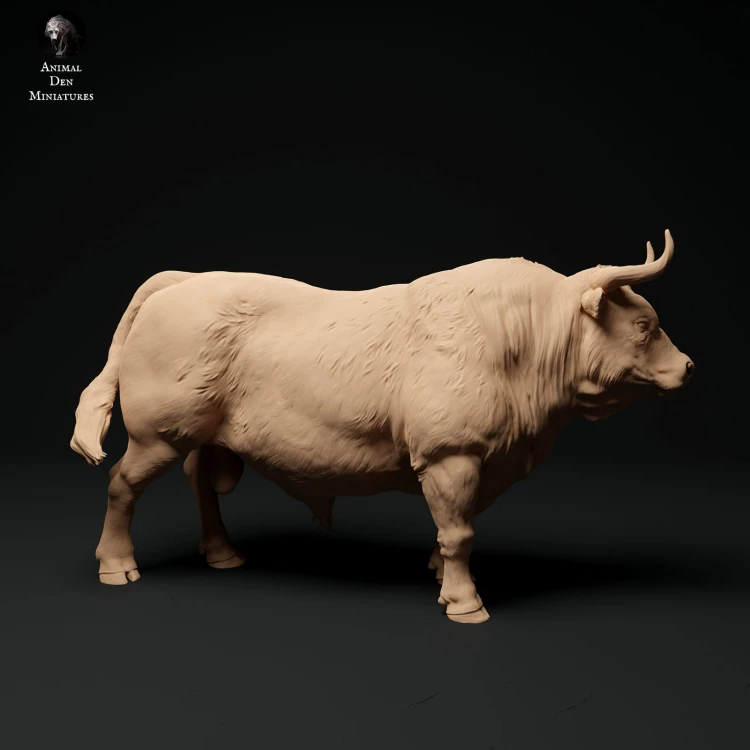 35130337_red-devon-bull-2.jpg