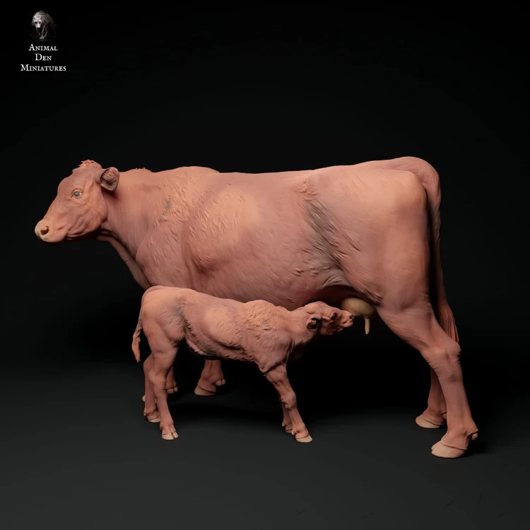 35130339_red-devon-cow-feeding-calf-3.jpg