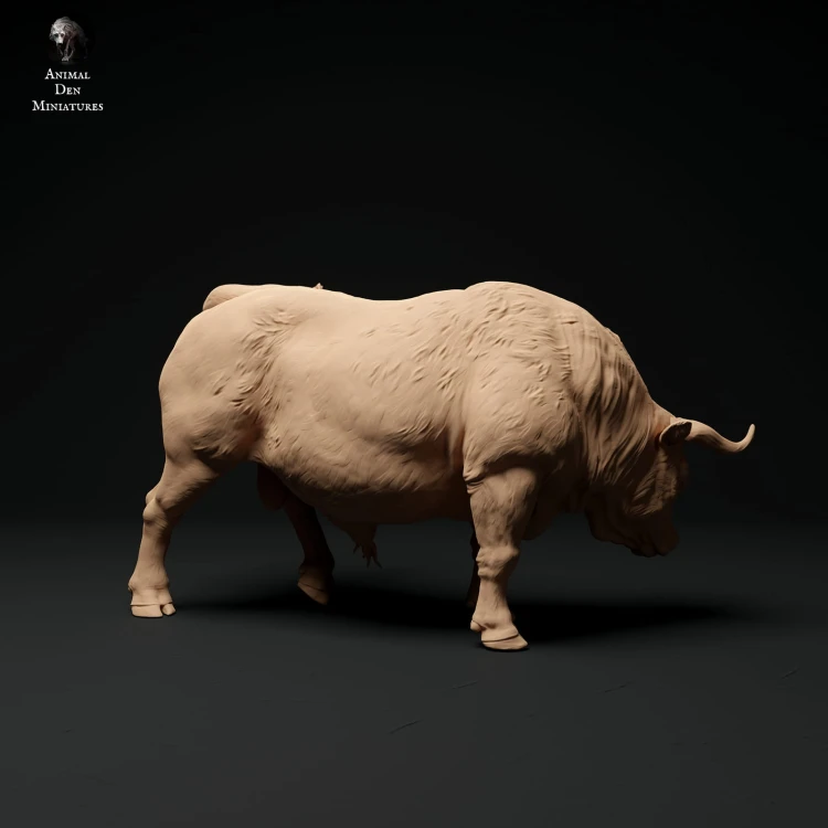 35130335_red-devon-bull-grazing-2.jpg