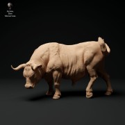 35130336_red-devon-bull-grazing-1.jpg