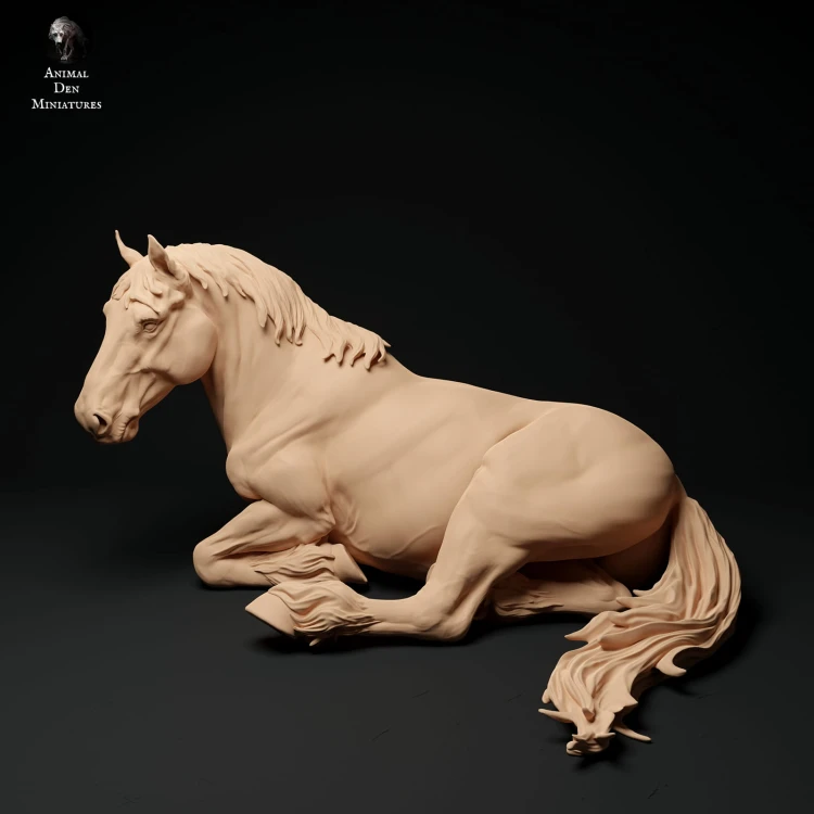 35130346_suffolk-punch-horse-mare-lying-1.jpg