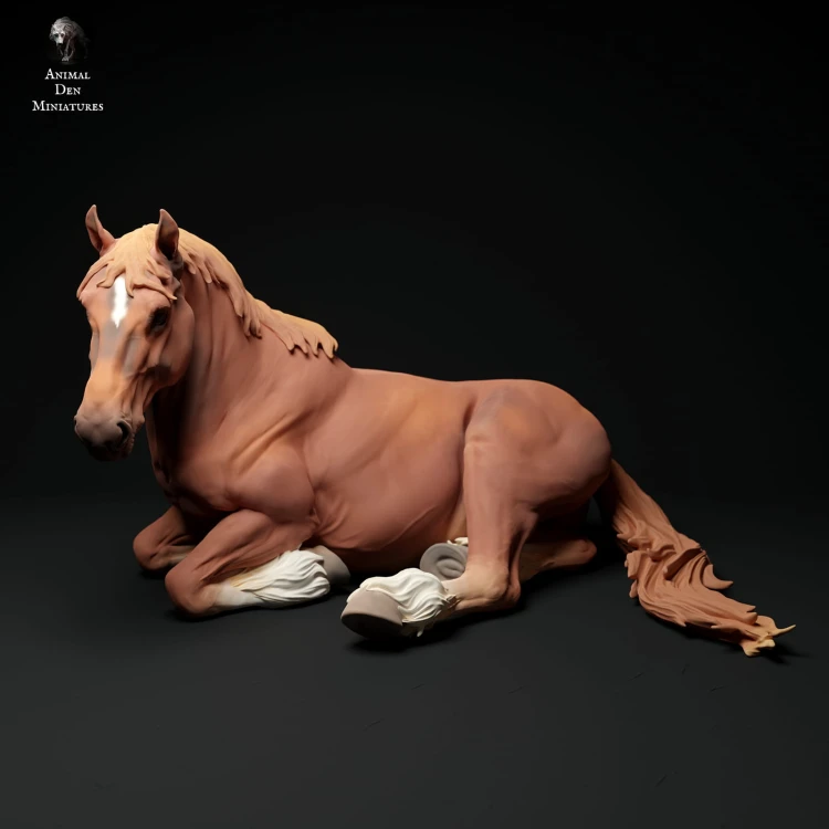 35130346_suffolk-punch-horse-mare-lying-3.jpg