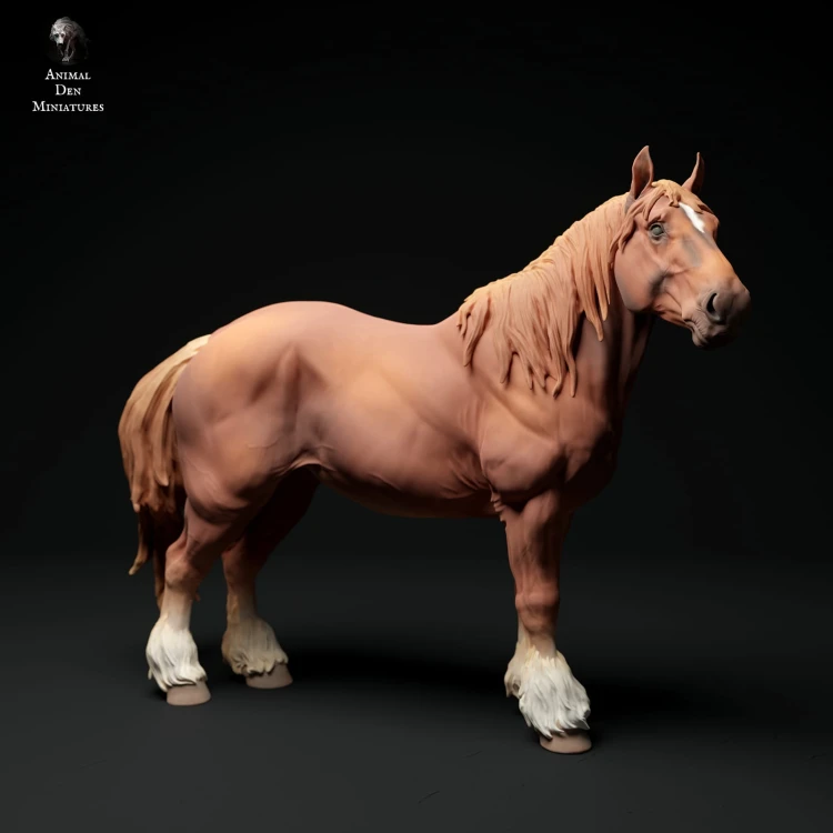 35130347_suffolk-punch-horse-mare-stand-3.jpg