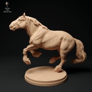 35130350_suffolk-punch-horse-run-1.jpg