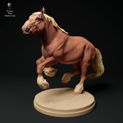 35130350_suffolk-punch-horse-run-3.jpg