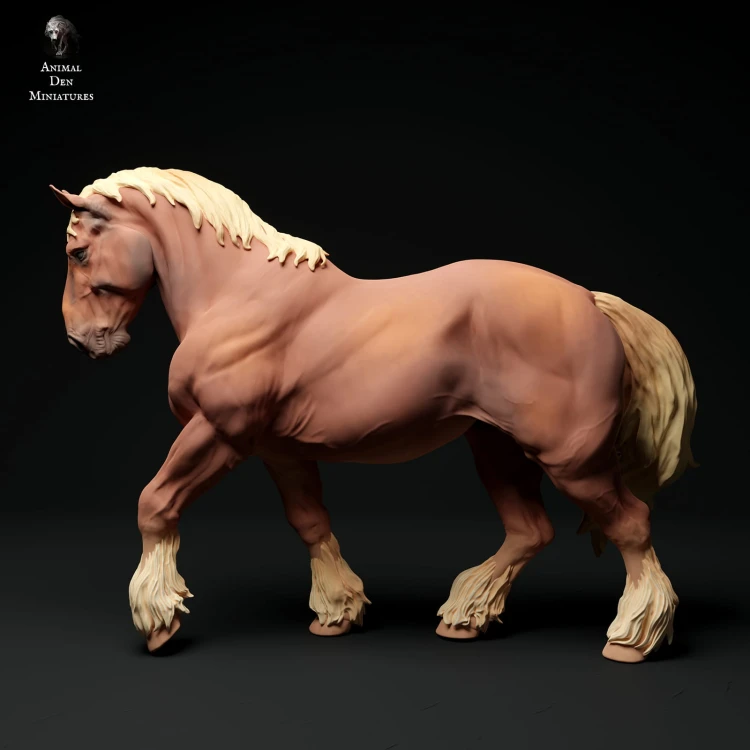 35130351_suffolk-punch-horse-walk-3.jpg